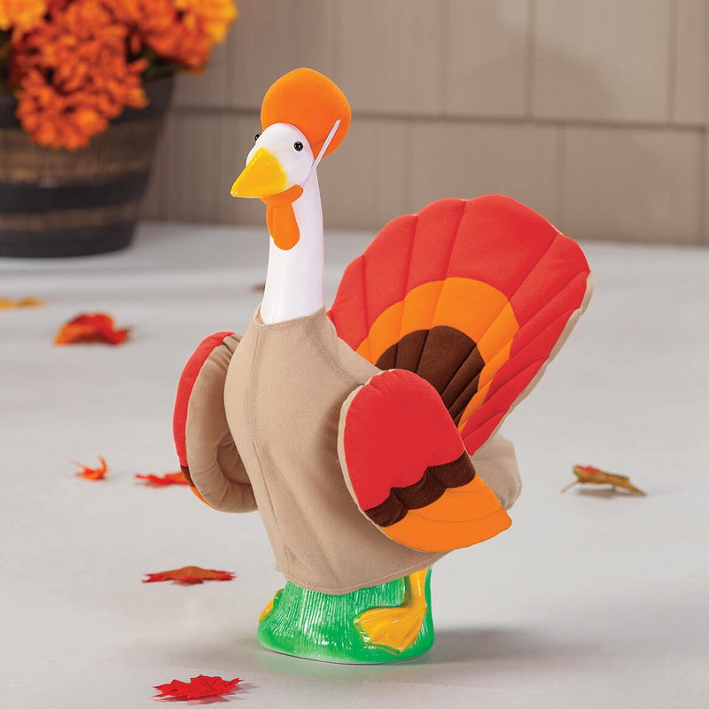 Turkey Baby Goose Outfit