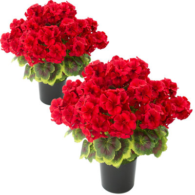 Plantes artificielles en géranium rouge en pot pour la décoration