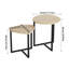 2pcs Metal Frame Nesting Tables Coffee Tables