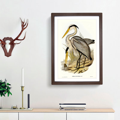 Great Grey Herons by Elizabeth Gould - Picture Frame Painting Print on MDF