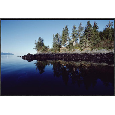 " High Tide Mark Shows Oil Spilled By Exxon Valdez, Prince William Sound, Alaska "