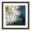 Edgemont «Dandelion Dreams III», impression encadrée