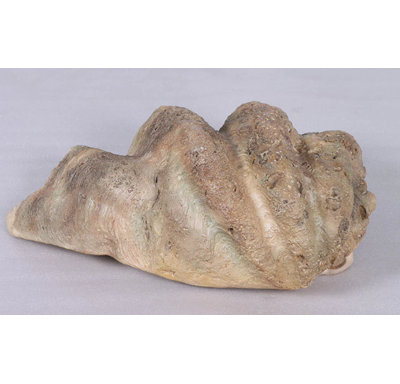 Statue de coquillages Calyce