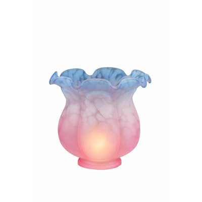 Novelty Lamp Shade
