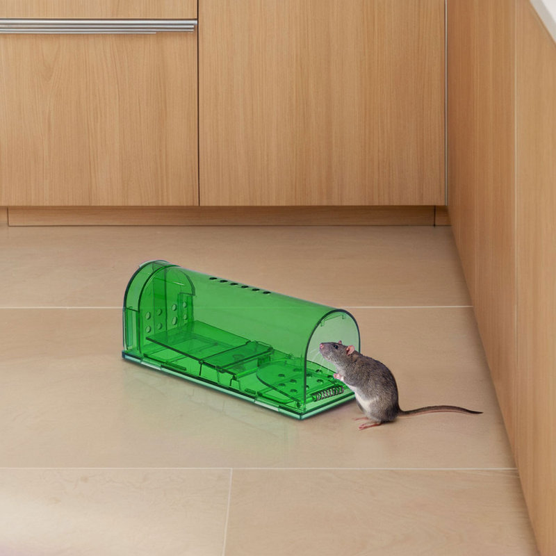 Mouse Cage