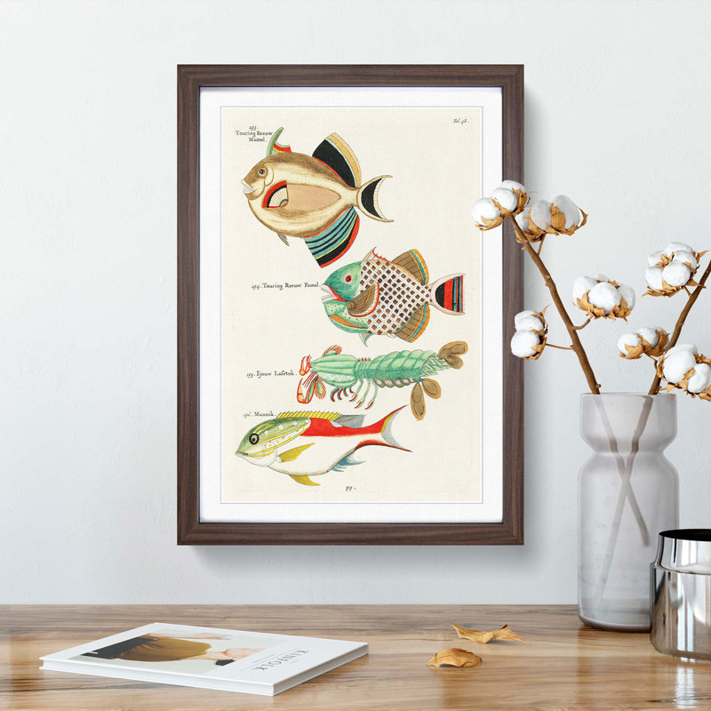 East Indies Fish & Lobster Illustrations Fol. 38 by Louis Renard - Picture Frame Painting Print, 48cm H x 36cm W x 2cm D