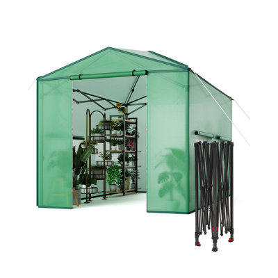 Serre toute saison portative 6 * 8 pi, tente pour plante à cadre en acier robuste avec couvercle en PE imperméable, portes à glissière enroulables et fenêtres en filet, installation rapide pour les semis et les fleurs