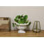 Sunray Urn Planter