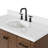 Amariani 49" Single Bathroom Vanity Set-1122301264-1110481149