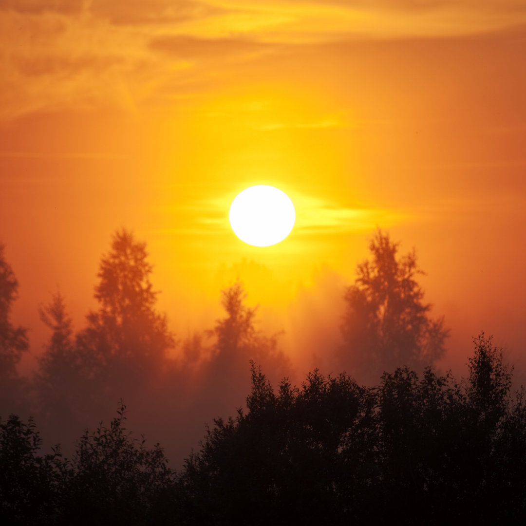 Nebliger Sonnenuntergang von Peeterv - Kunstdrucke auf Leinwand