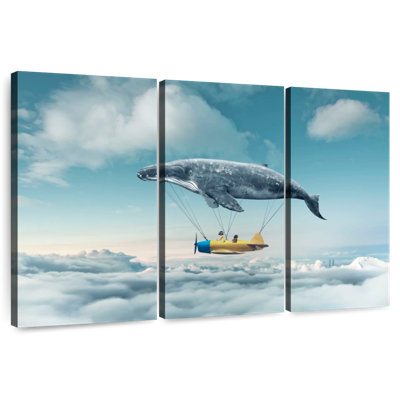 Baleine Kelan