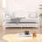 Korecky Steel Daybed with Trundle Bed-1233089411