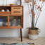 Buffet simple de style japonais