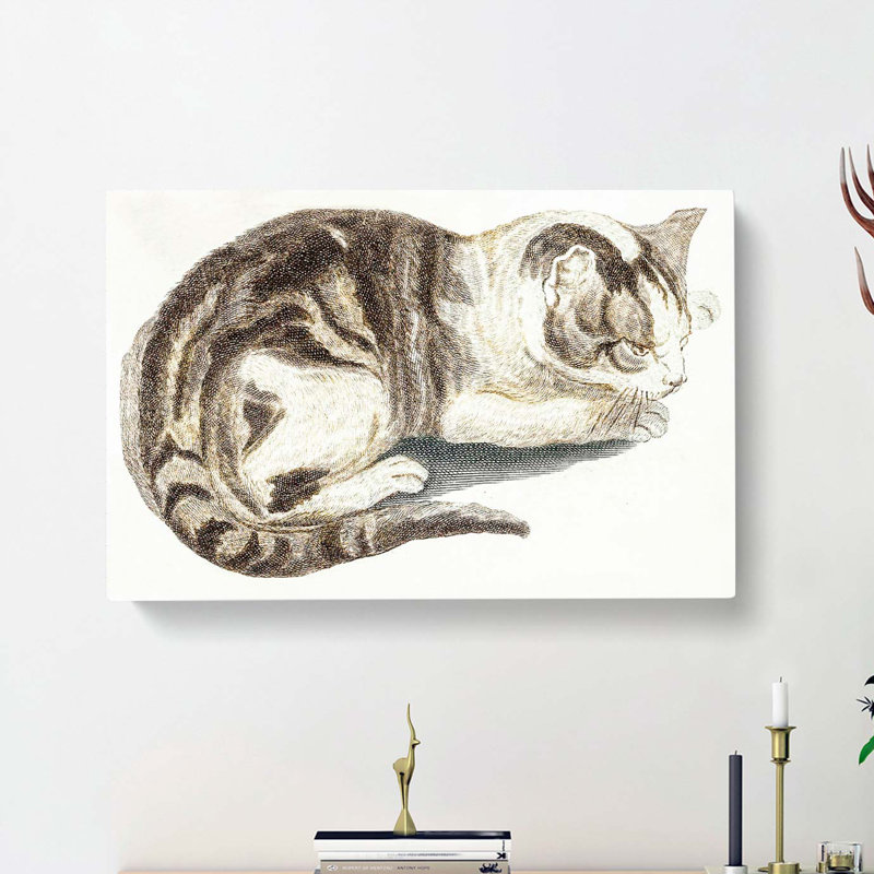 Cat by Johan Teyler - Wrapped Canvas Painting, 35cm H x 50cm W x 3cm D