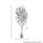 6' UV Potted Tuscan Olive Tree