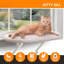 Perchoir de fenêtre pour chat Kitty Sill