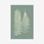 Ferns On Sage IX by Vision Studio - Painting-2101643533-2101734347
