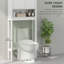 Freestanding Over the Toilet Storage