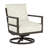 Santa Barbara Aluminum Swivel Rocker-83259753-120640848-113694007