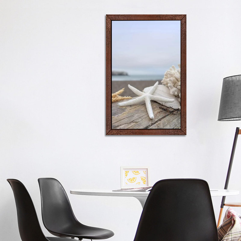 Crescent Beach Shells XIV by Alan Blaustein - Floater Frame Print on Canvas, 101.6 cm H x 66.04 cm W, Brown Framed
