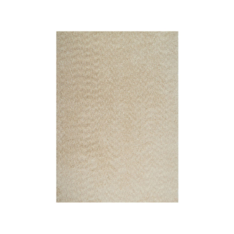 Tapis beige épais tissé à la main Sav, Rectangle de 5 pi x 8 pi