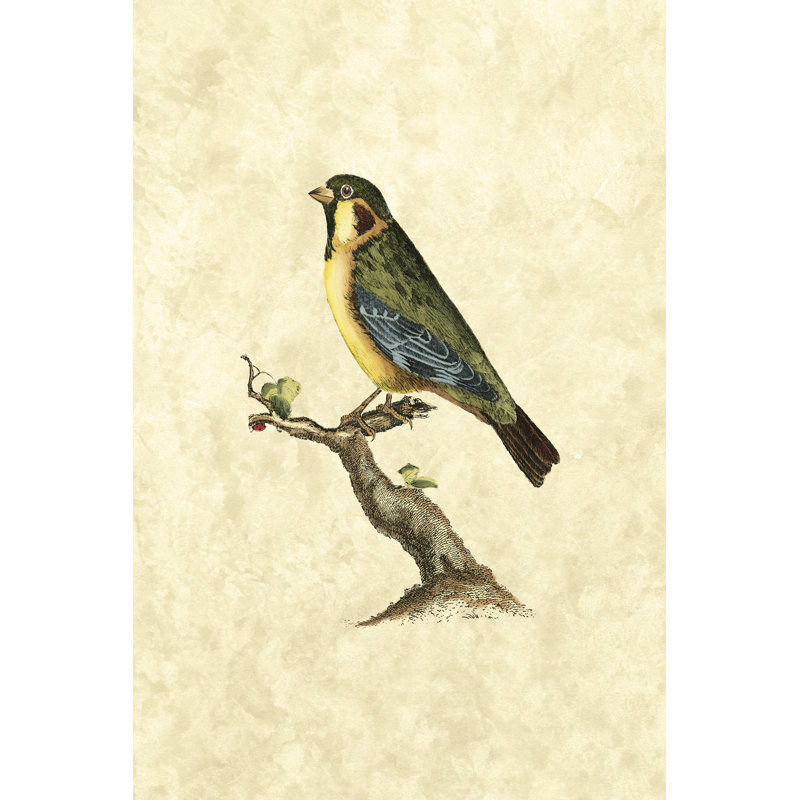 Selby Birds II - Wrapped Canvas Painting, 30cm H x 20cm W