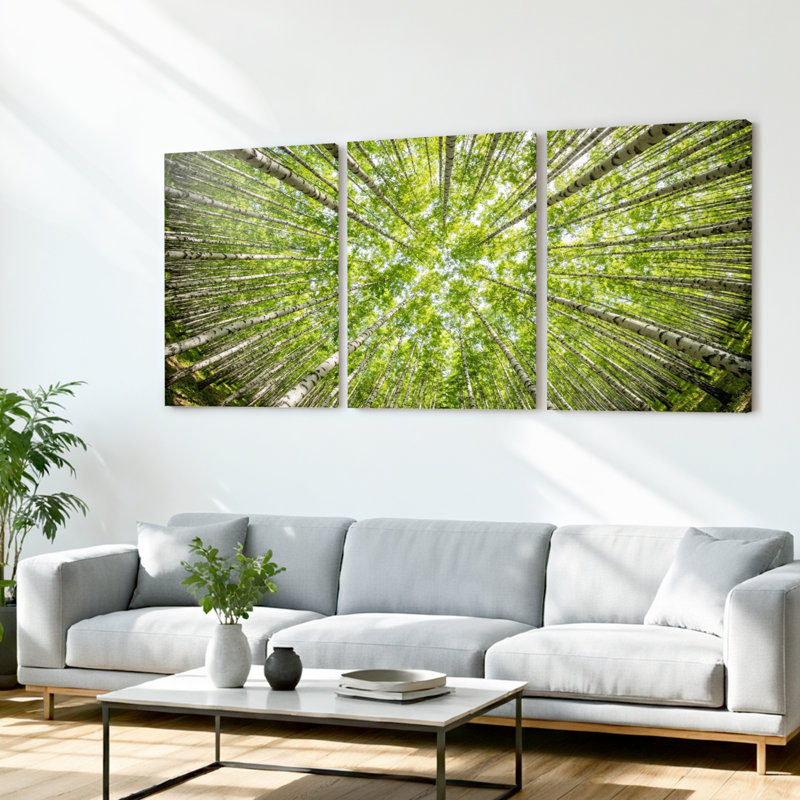 Ensemble de 3 tableaux sur toile tendue représentant un paysage naturel sous la canopée d'une forêt de bouleaux, 1218