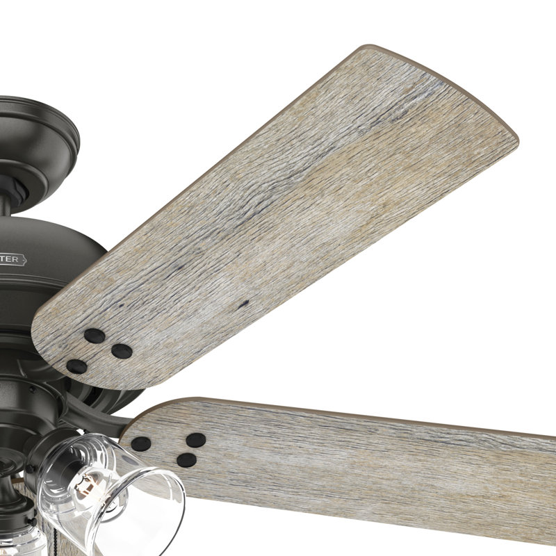 52" Shady Grove 5 - Blade Ceiling Fan With LED Light Kit And Pull Chain, Black Gray
