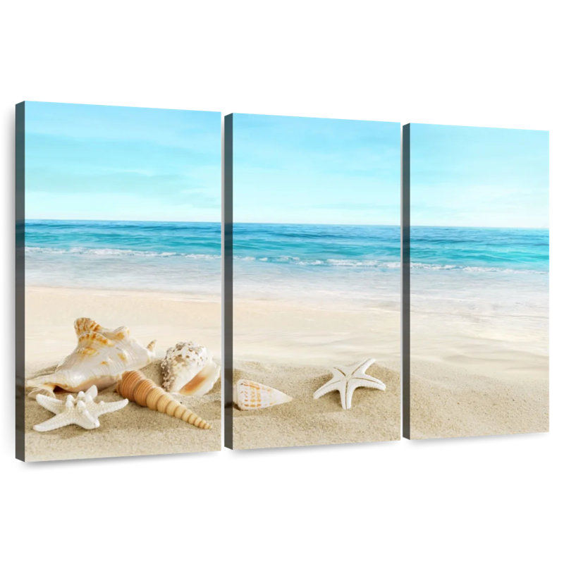 Coquillages de plage Aletra, H 42 po x l 65 po