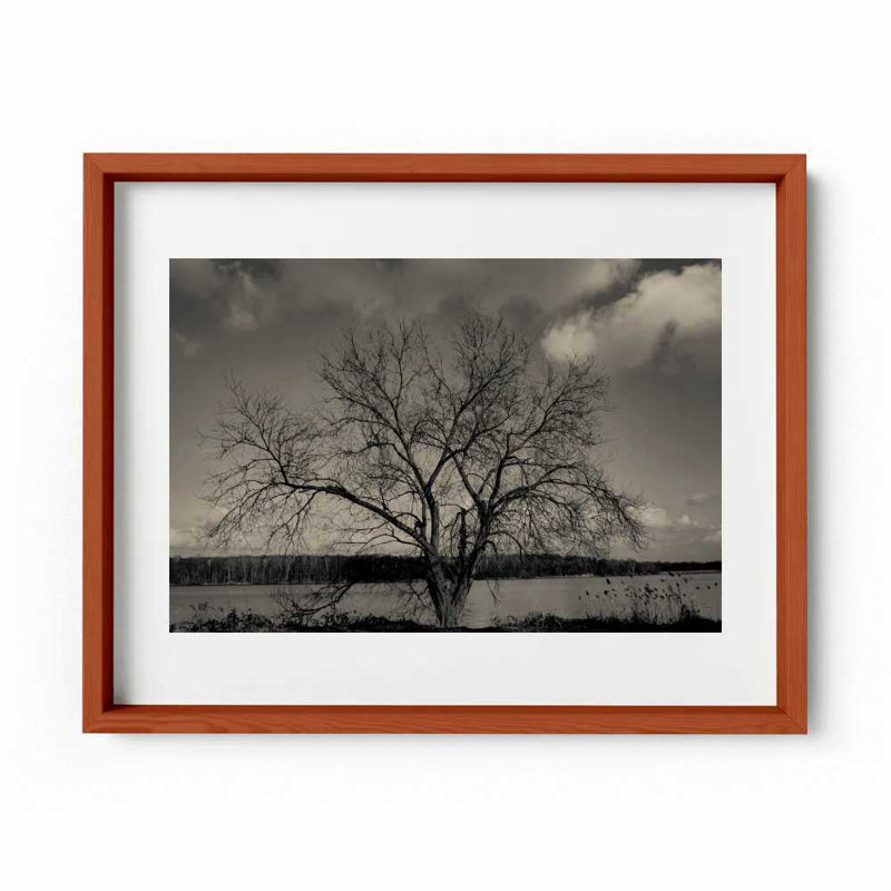 Baum Im Winter Print by Joseph Regan, 22" H x 26" W x 0.75" D, Cherry