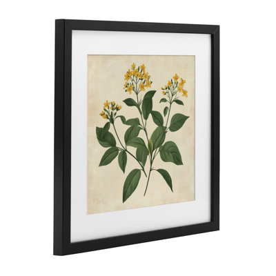 Yellow Bushels Botanical Illustration Framed Print Under Glass, design by Petal Prints Design
