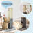 Khanh 31 " H Cat Scratching Post