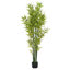 Plantes artificielles 72 "avec cadre en fer Whately Whately