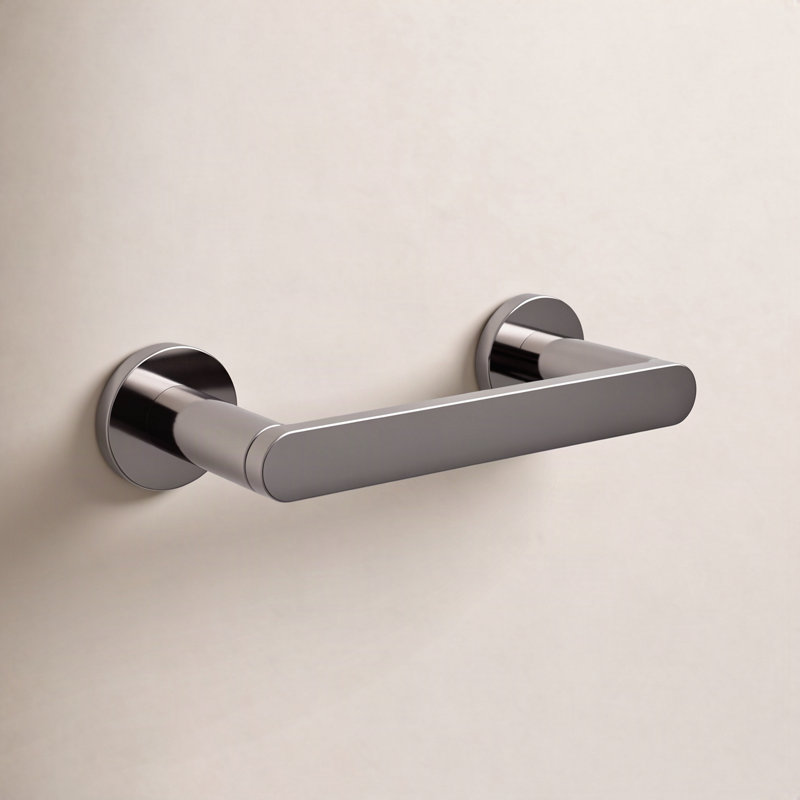 Wall Mount Toilet Paper Holder, Vibrant Titanium