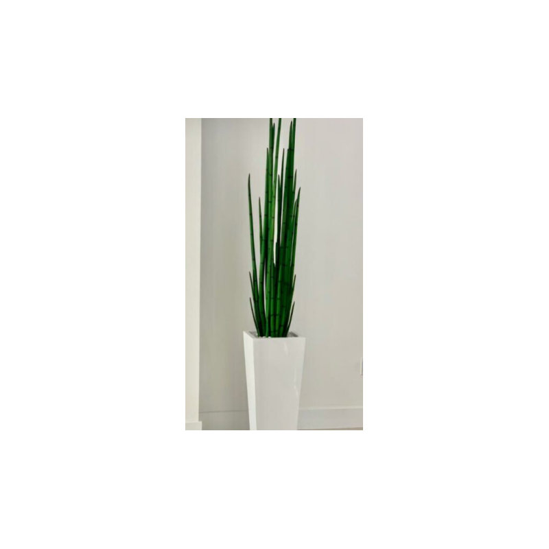 Faux Snake Plant (Sansevieria) Grass