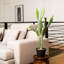 Faux Tree in Pot-2027355670