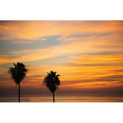 Coucher de soleil palmiers III