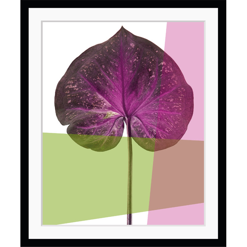 Leaf - Single Picture Frame Print, 50 cm H x 60 cm W