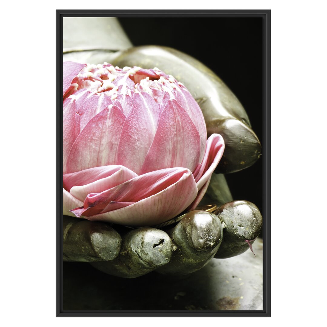 Gerahmtes Wandbild Lotus auf der Hand eines Buddhas