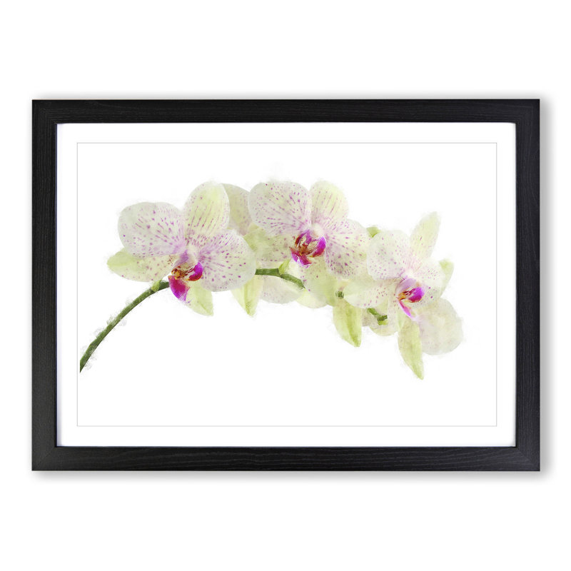 Orchid Flowers Vol.1 - Picture Frame Painting, Black Framed, 27cm H x 36cm W x 2cm D