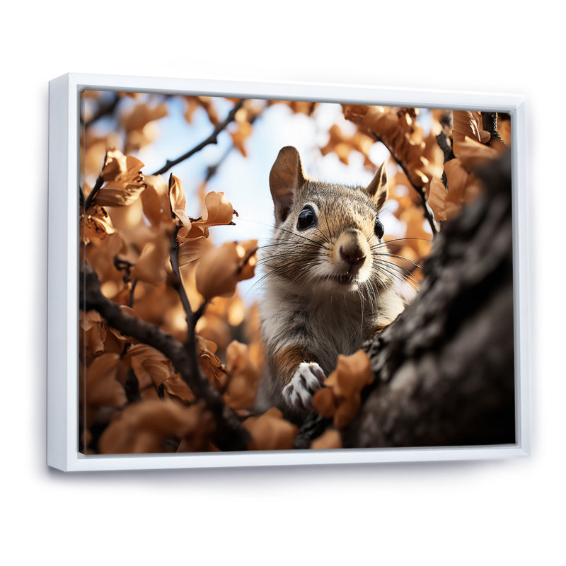 " Grey Squirrel Squirrels Antics ", White Floater Framed, 16" H x 32" W x 1" D