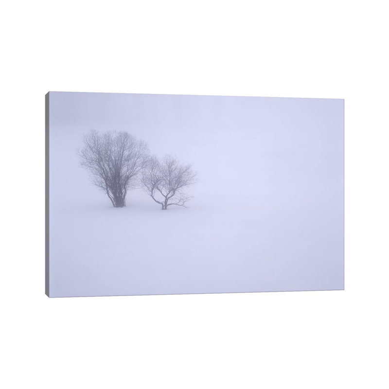 USA, Oregon, Wallowa Lake State Park. Winter Snow And Fog Among Small Trees. by John Barger - Wrapped Canvas Print