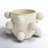 Jalonte Ceramic Pot Planter