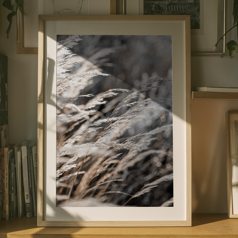 Wrapped Canvas Print, 76.2 cm H x 50.8 cm W