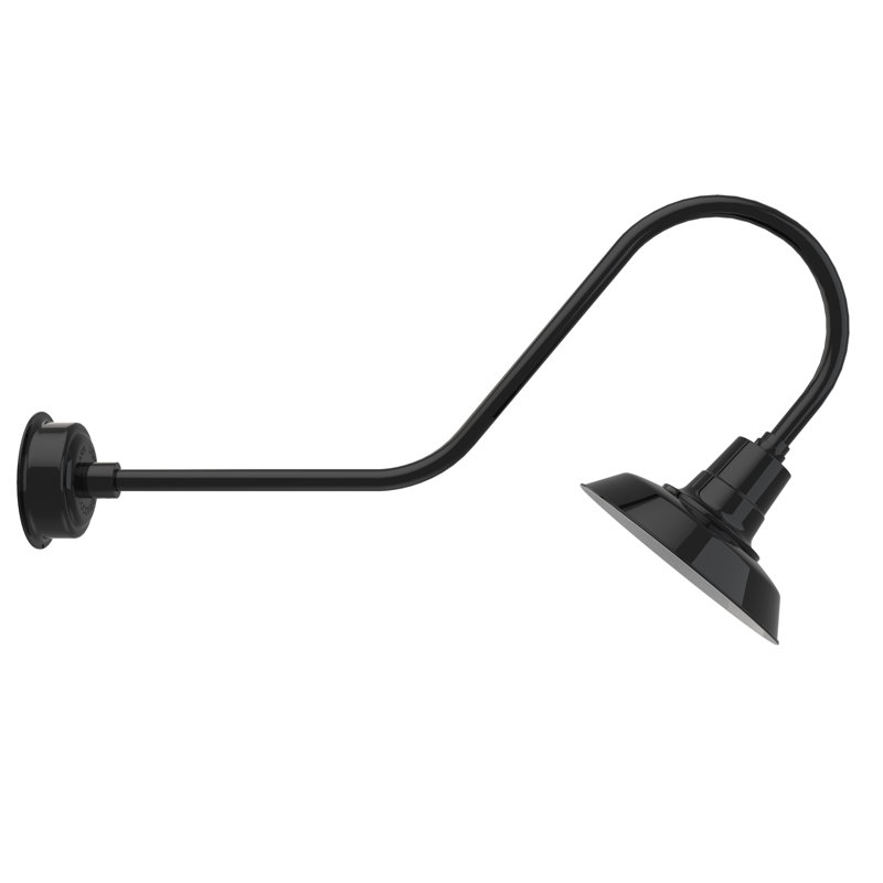 Luminaire de grange d’extérieur à del Haleigh, H 12 po x l 12 po x P 36 po, Noir