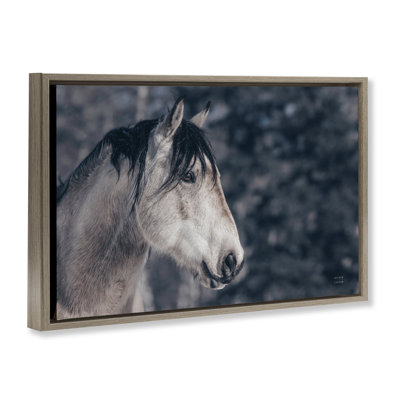 Toile flottante encadrée Intense Gaze Stallion par Nathan Larson