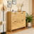 Shoe Cabinet With 4 Flip Drawers-1829571174