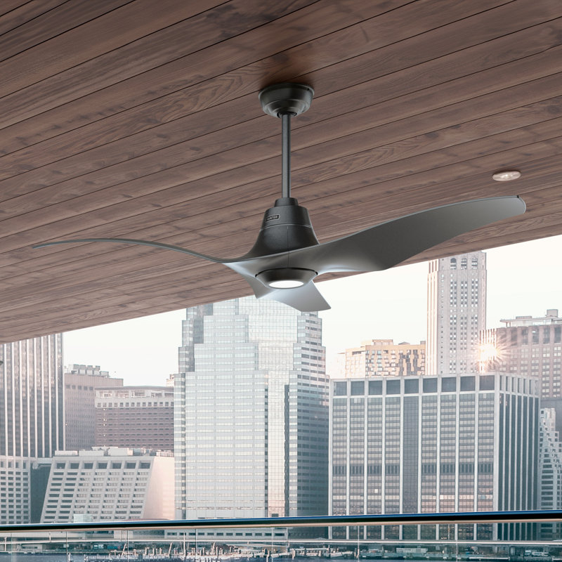 Hunter 60 inch Arwen ENERGY STAR® Damp Rated Ceiling Fan with LED Light Kit and Handheld Remote, 60, Black