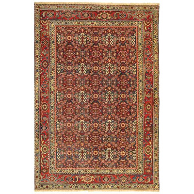 Turkistan Wool Pile Rug in Red/Navy