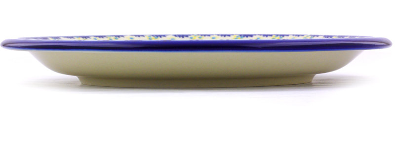 Stoneware Dinner Plate